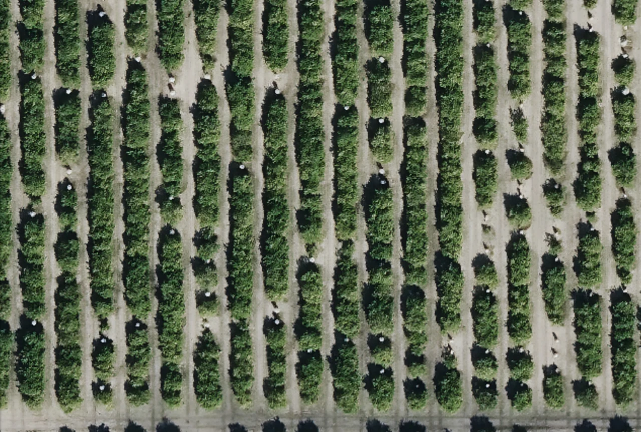 Aircraft frame after Agrozoom enhancement to drone-equivalent detail